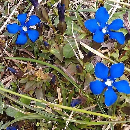 Отель Gruben